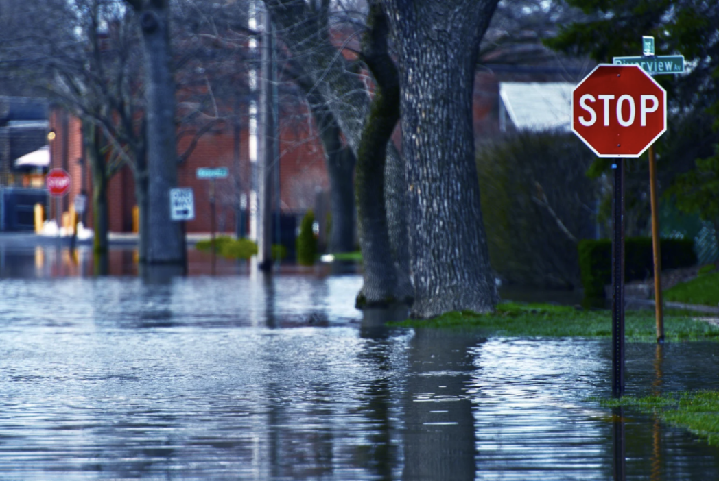 Earthquake and Flood Insurance California, New York